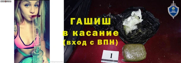прущие грибы Алзамай
