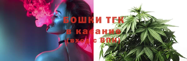 ПСИЛОЦИБИНОВЫЕ ГРИБЫ Нея