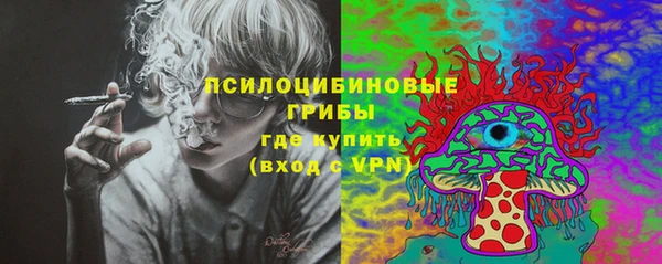 прущие грибы Алзамай