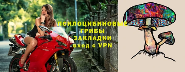 прущие грибы Алзамай