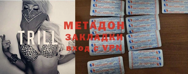 прущие грибы Алзамай