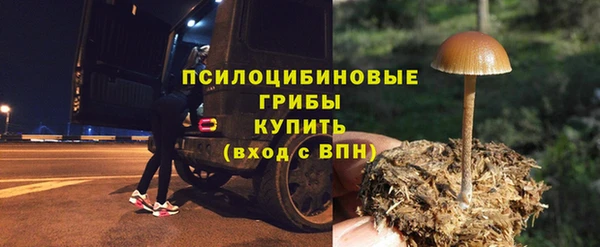 стафф Алексеевка