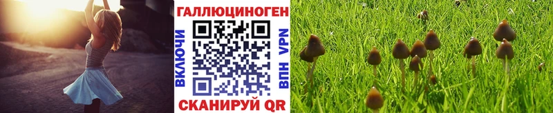 Галлюциногенные грибы прущие грибы  Менделеевск 